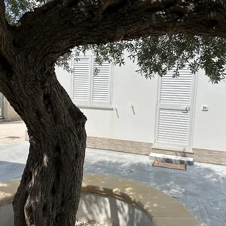 - Isola Di Mothia Appartement Marsala